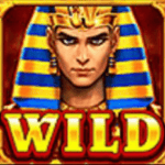 สัญลักษณ์ WILD