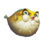 สล็อตปักเป้า