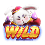 สัญลักษณ์ Wild