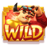 สัญลักษณ์พิเศษ wild