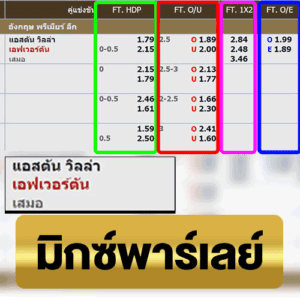 มิกซ์พาร์เลย์