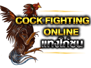 แทงไก่ชน