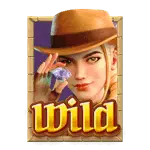 สัญลักษณ์-Wild